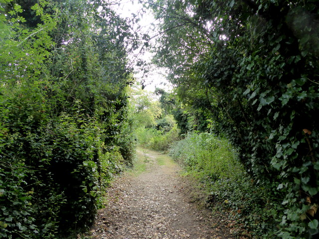 File:Berengrave Local Nature Reserve, Rainham - geograph.org.uk - 5134163.jpg