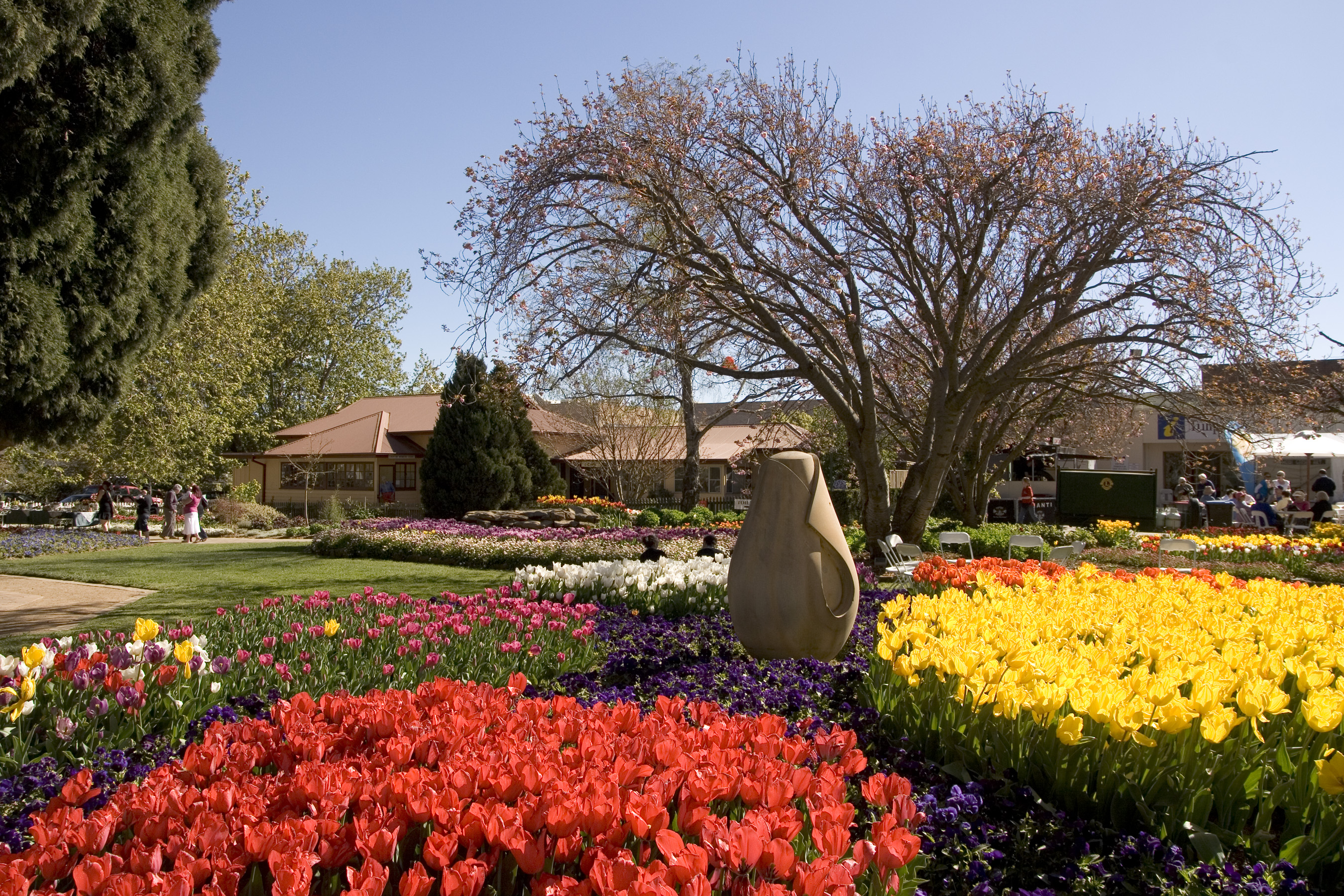 File:Bowral Tulip Festival - panoramio (2).jpg - Wikimedia Commons