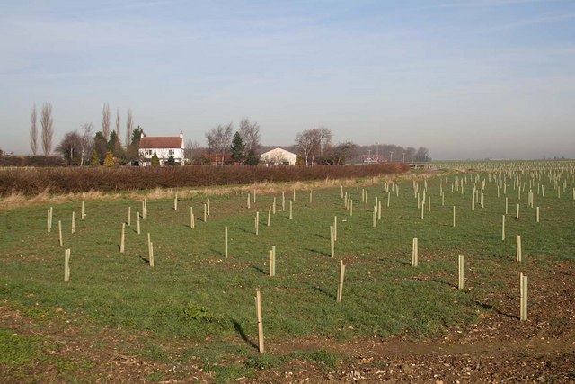 File:Bullington Cars - geograph.org.uk - 329955.jpg