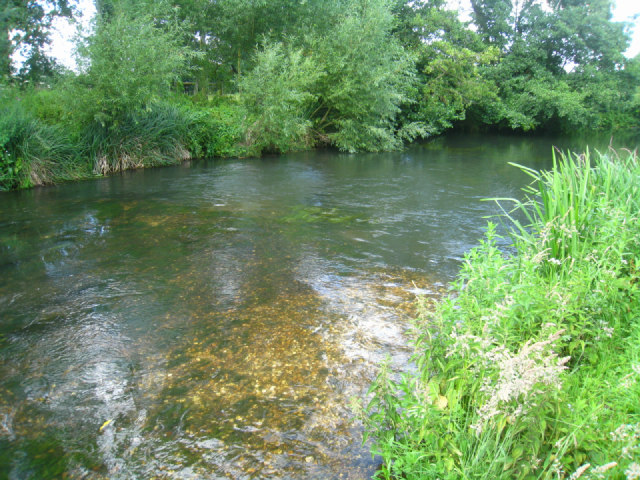 File:Clear waters of the Loddon - geograph.org.uk - 2486069.jpg