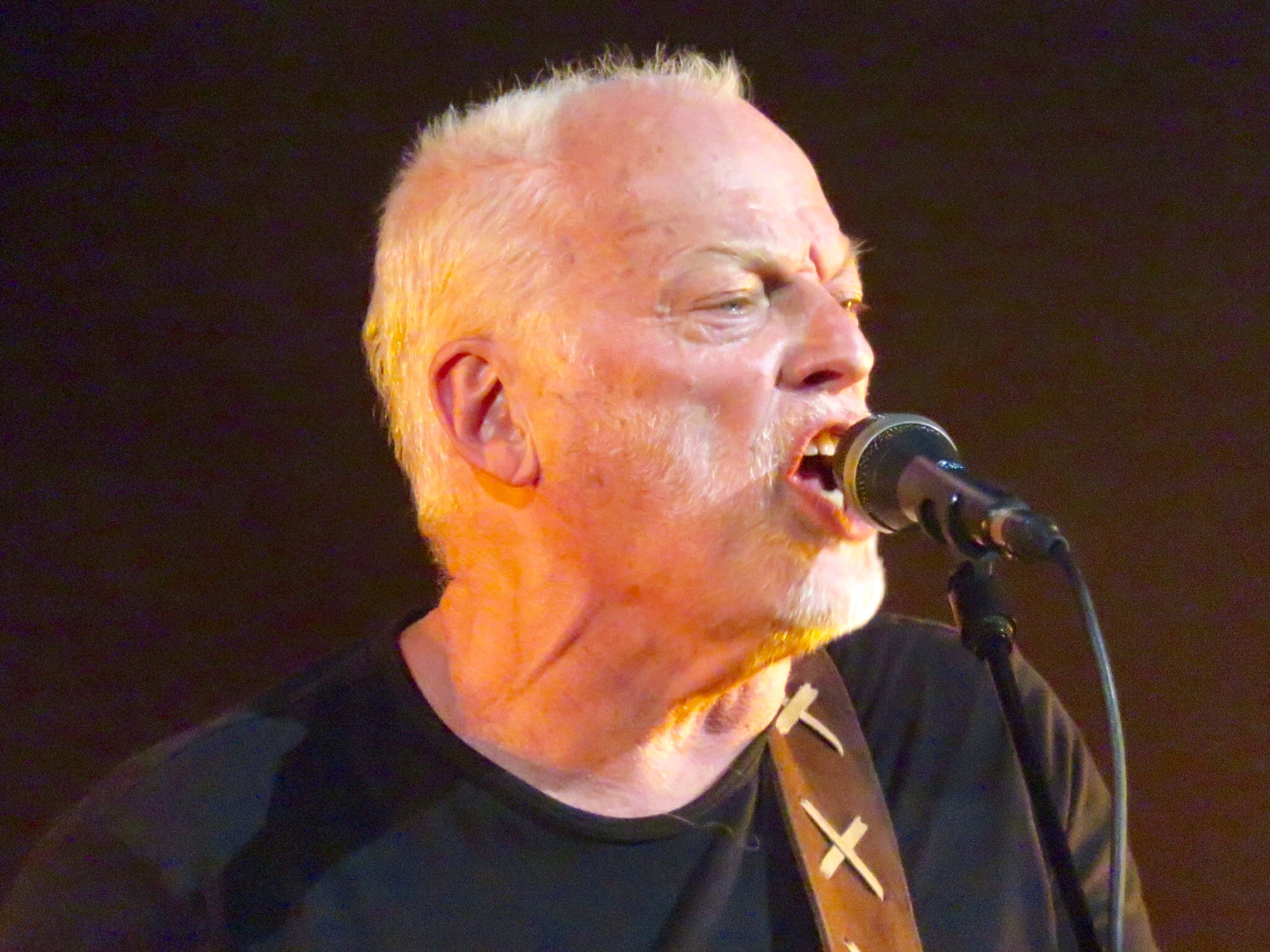 David Gilmour Birth Chart