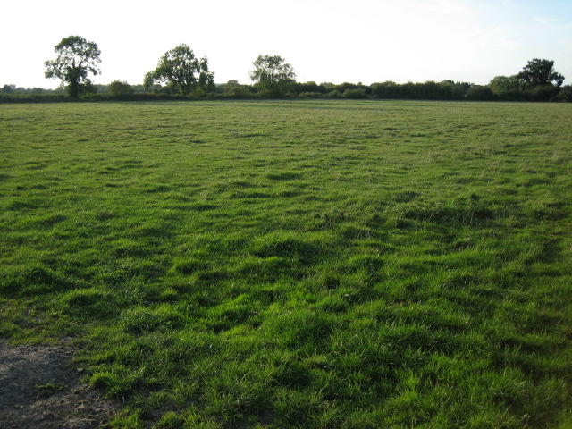 File:Field near Launton - geograph.org.uk - 61236.jpg