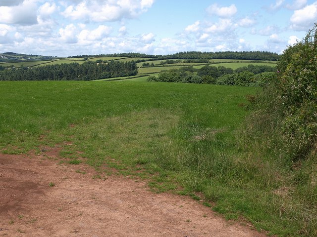 File:Field on Hone Hill - geograph.org.uk - 1397080.jpg