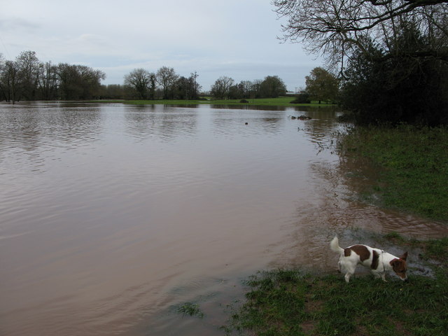 File:Flood plain - geograph.org.uk - 1093123.jpg