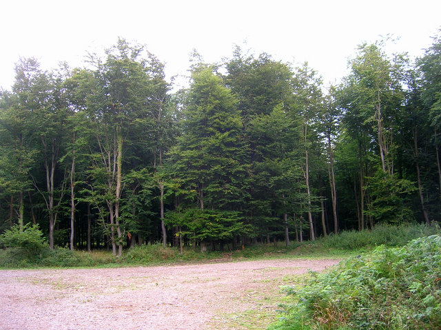 File:Forest Hanger - geograph.org.uk - 225624.jpg