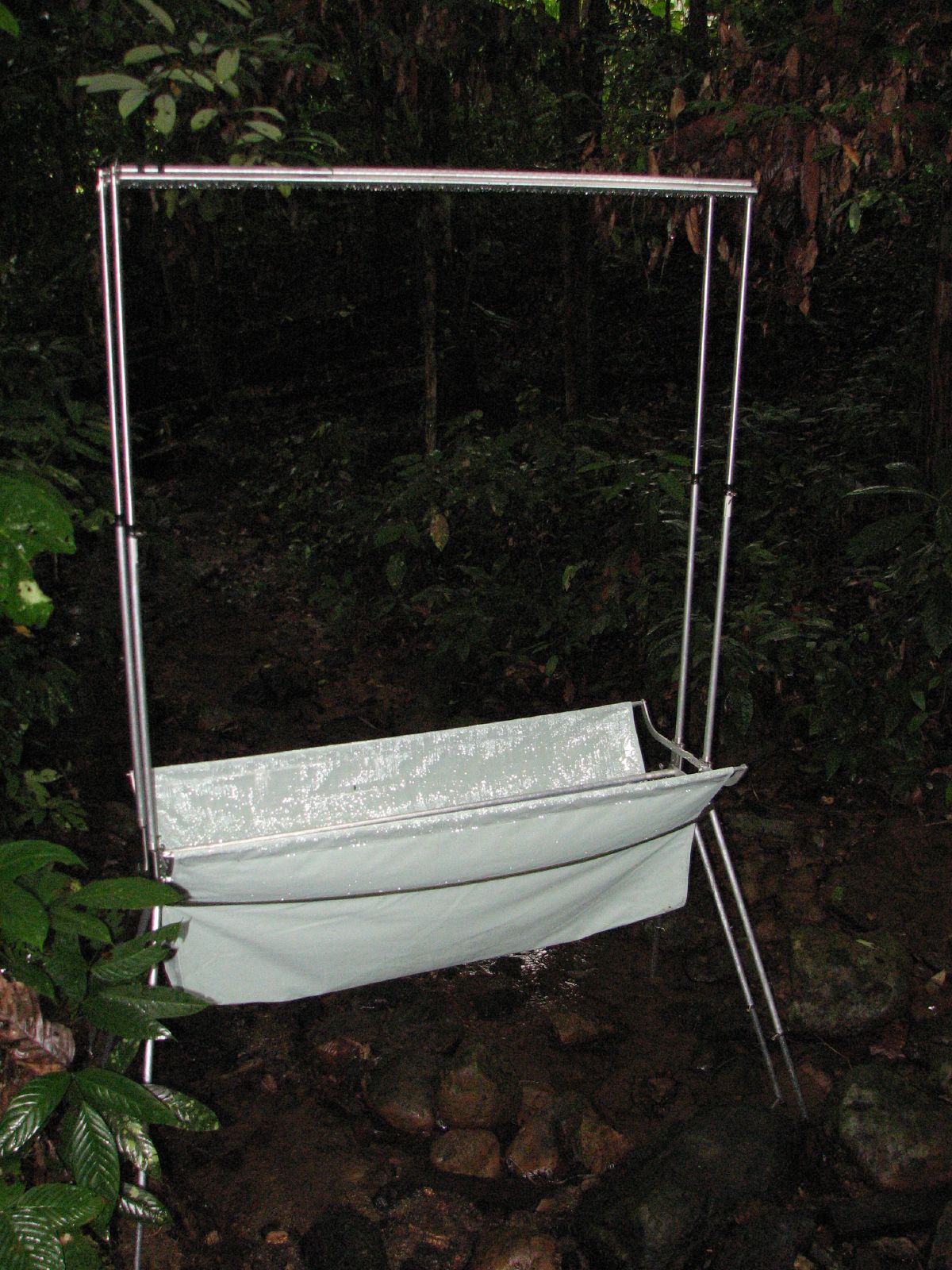 Harp trap - Wikipedia