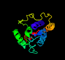 File:I TASSER 3D Prediction of LOC105377021.png