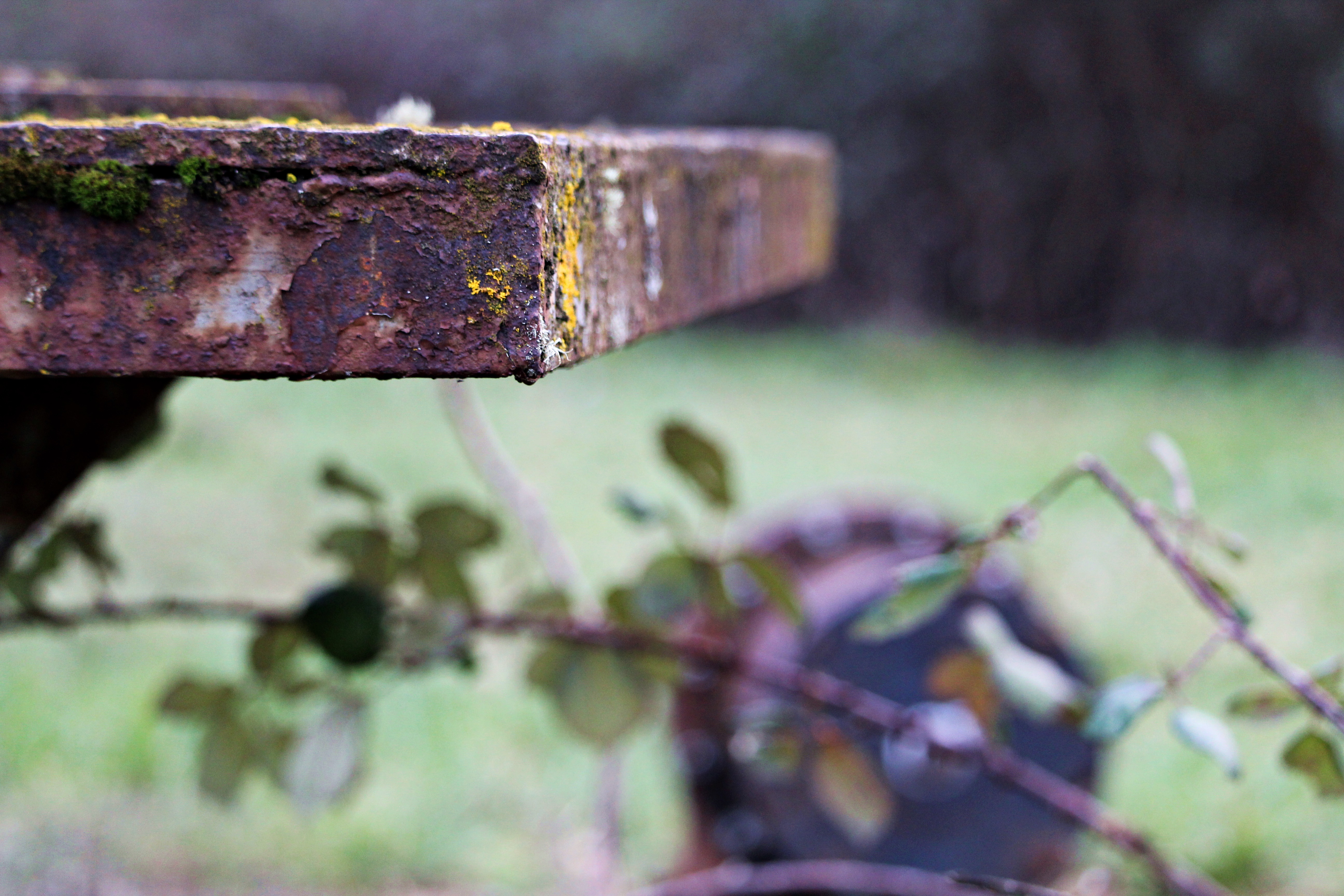 Rust and iron фото 33