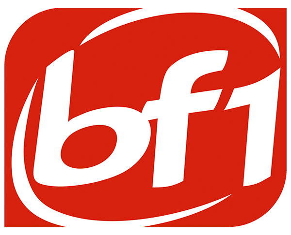 File:Logo bf1.png