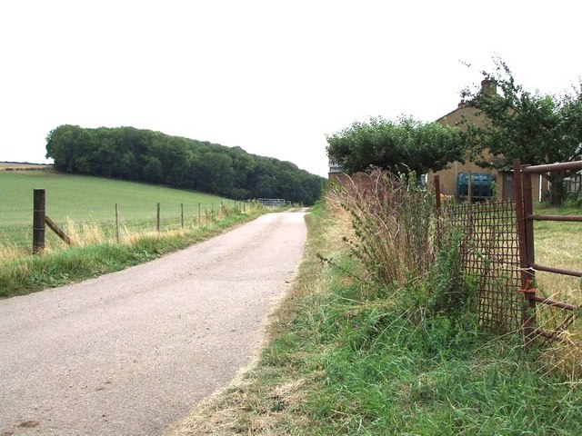 File:Lower Farm with Great Wood - geograph.org.uk - 220126.jpg