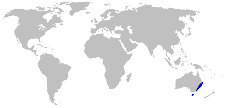 File:Map-Blandfordiaceae.PNG