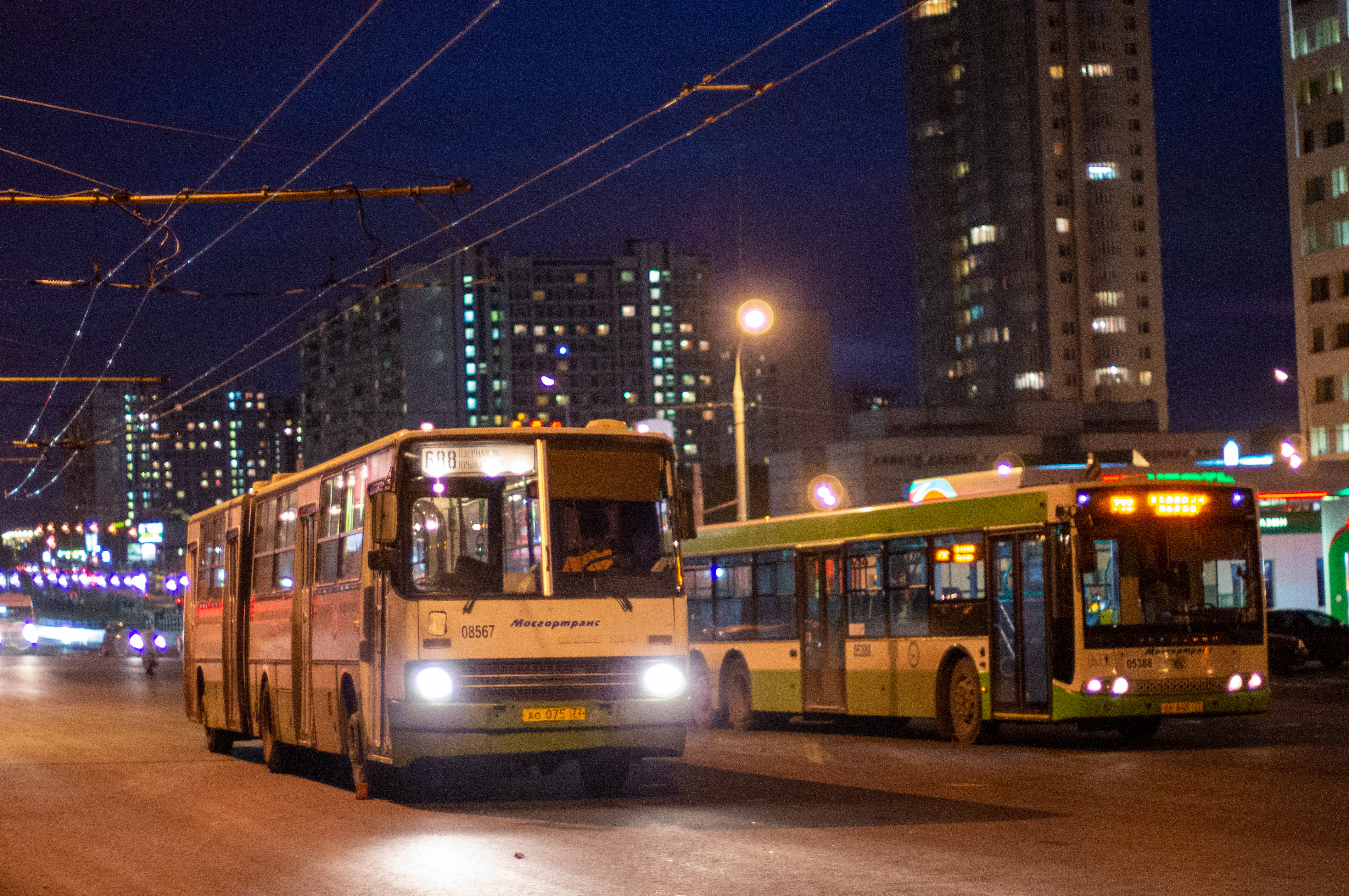 автобус москва до белый раст фото 11