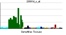 File:PBB GE NRXN1 209914 s at tn.png