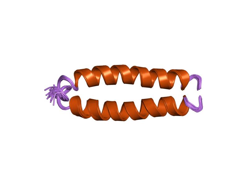 Fusion Protein-avatar