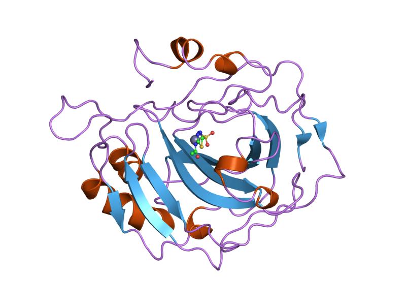 File:PDB 1ydb EBI.jpg