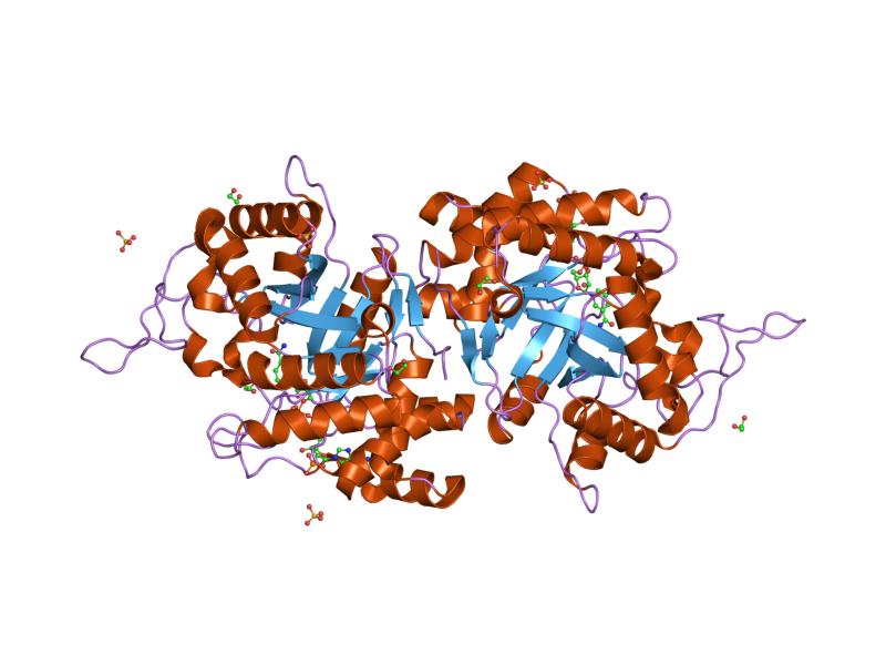 File:PDB 2hdj EBI.jpg