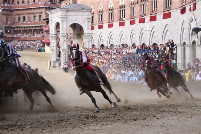 Palio provenzano 2010 1