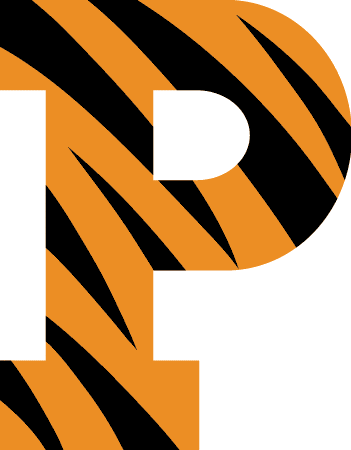 Image result for princeton logo