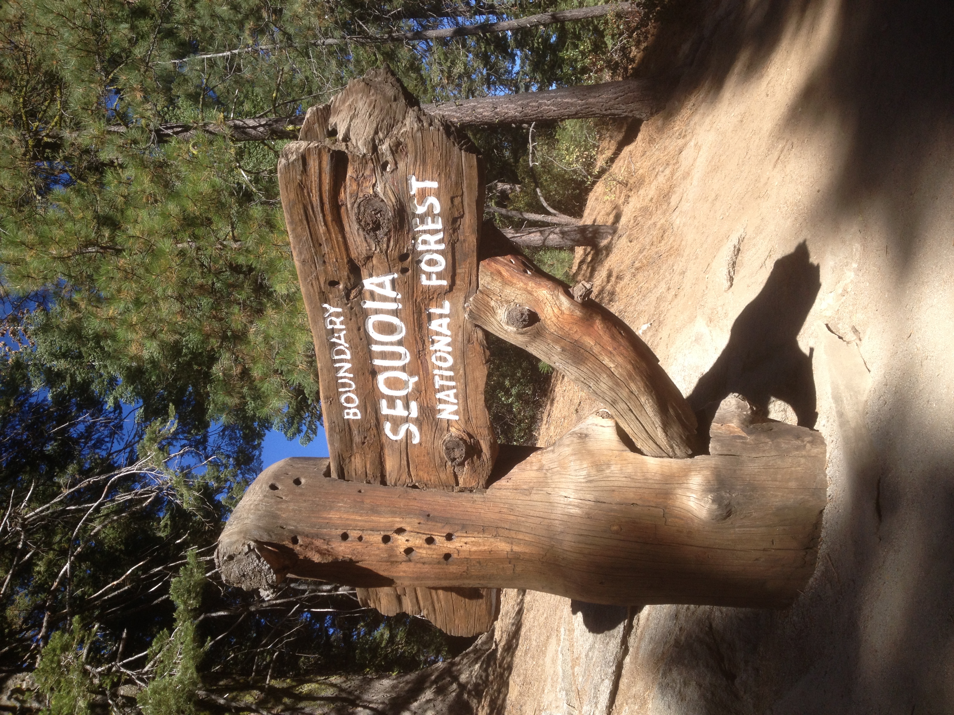 Welcome to the Sequoia Parks Conservancy Store!