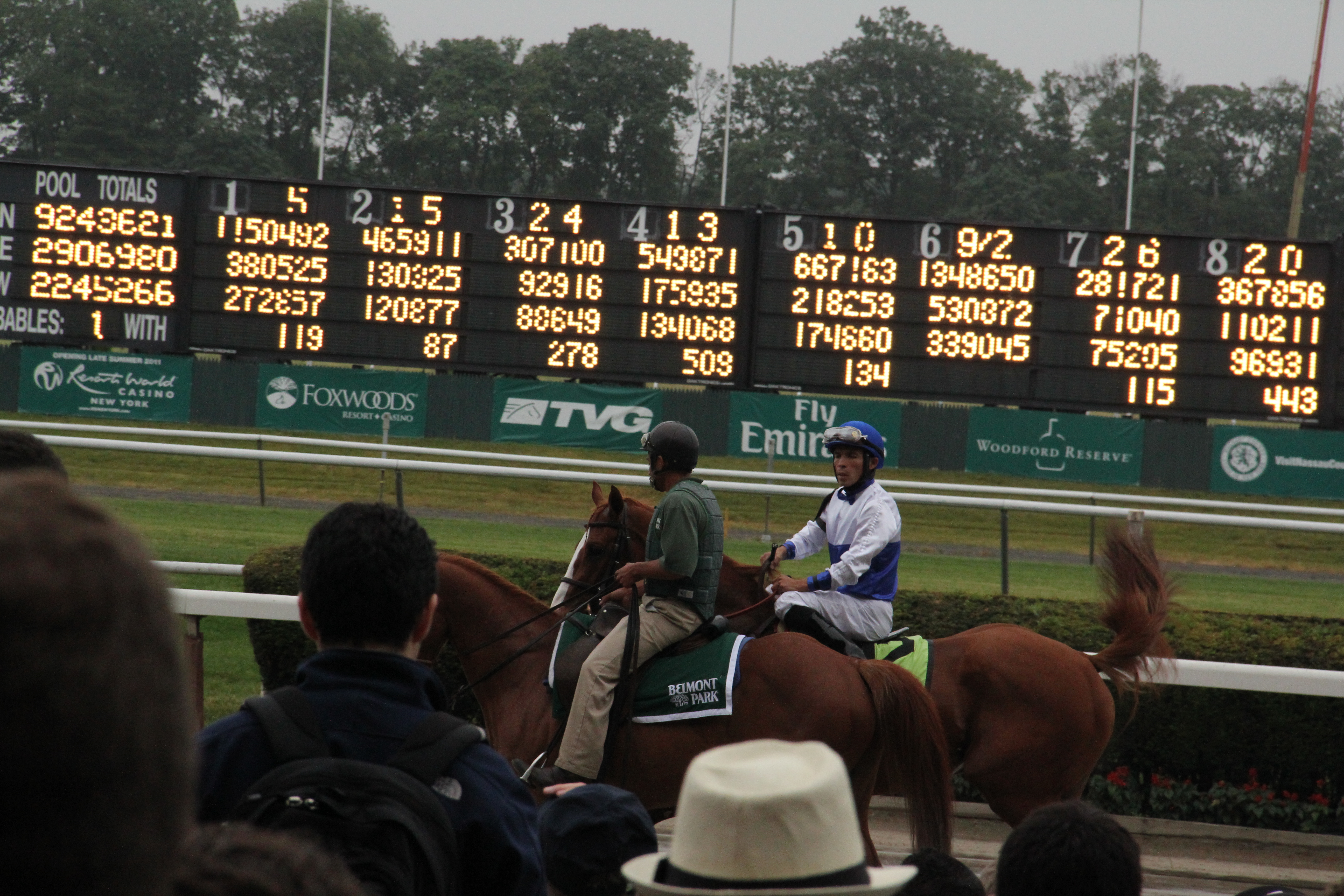 Shackleford_at_start_of_2011_Belmont_Stakes.jpg