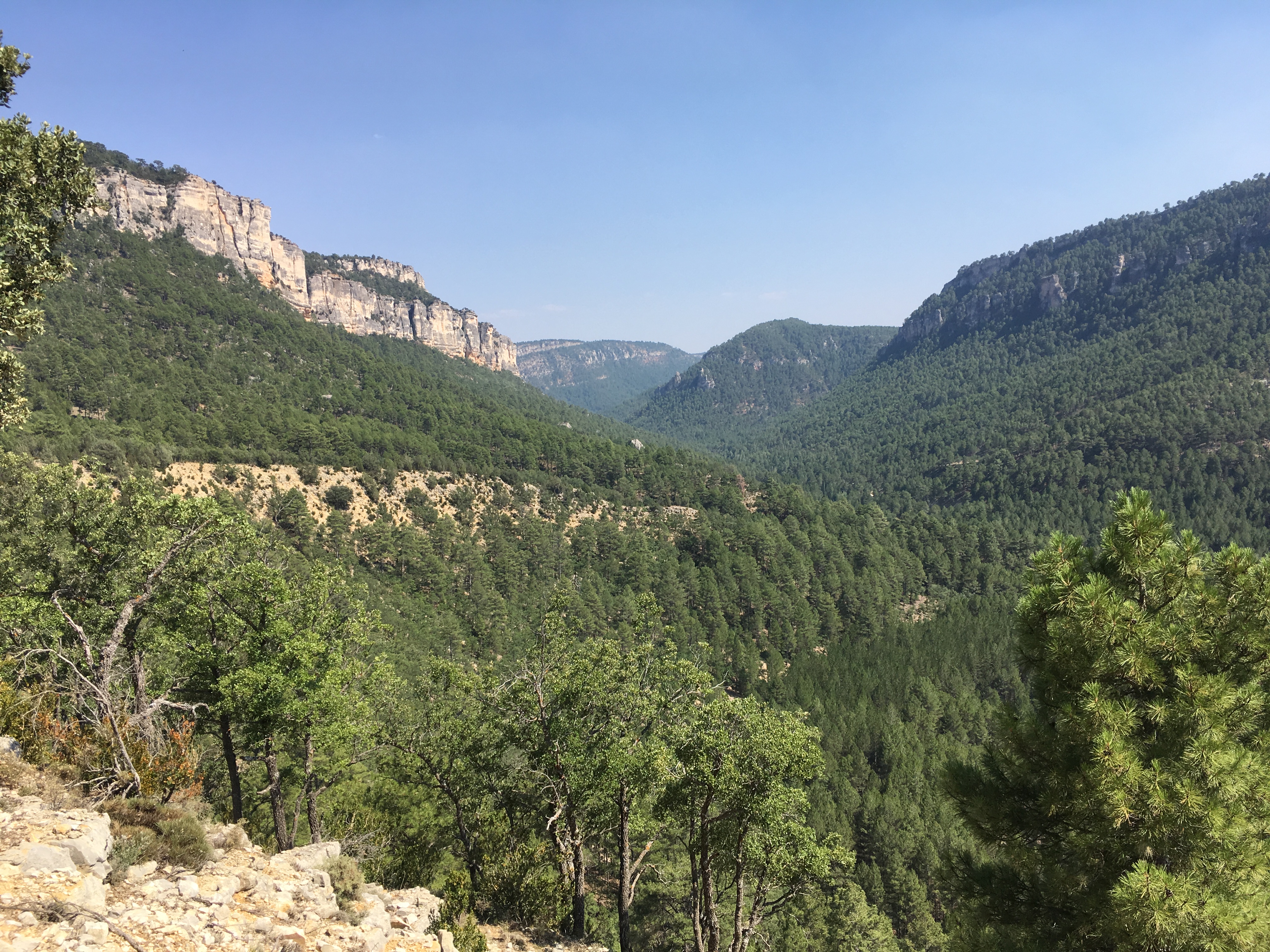 Serranía de Cuenca - Wikipedia, la enciclopedia libre