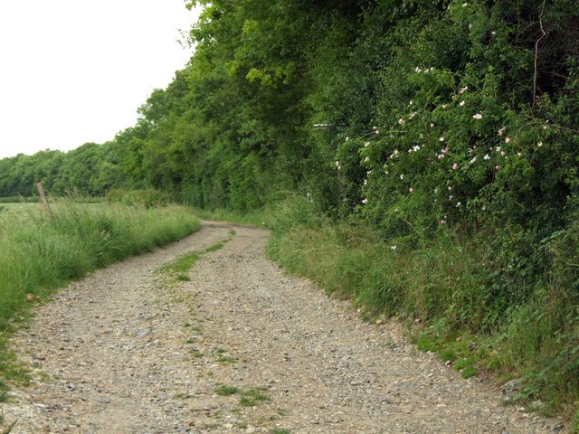 File:The road to Rotten Row. - geograph.org.uk - 473377.jpg