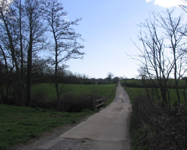 File:Track to Vearse Farm - geograph.org.uk - 364477.jpg