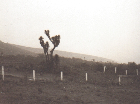 File:Valle de Tehuacán.jpg