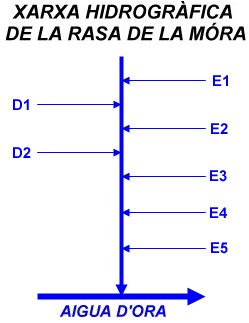 Xarxa hidrogràfica de la Rasa de la Móra