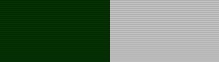 File:Young Marines Scuba Ribbon.png