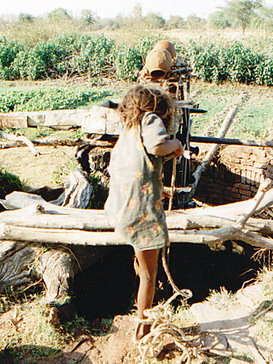 File:A girl drawing water from an irrigation well in India.jpg