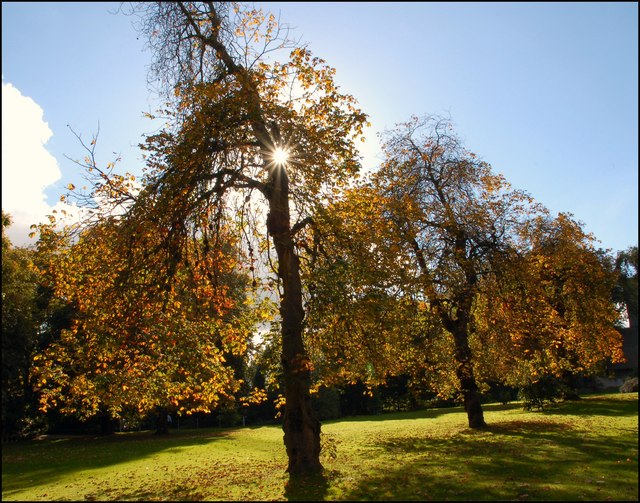 File:Autumn colours (2) - geograph.org.uk - 574886.jpg