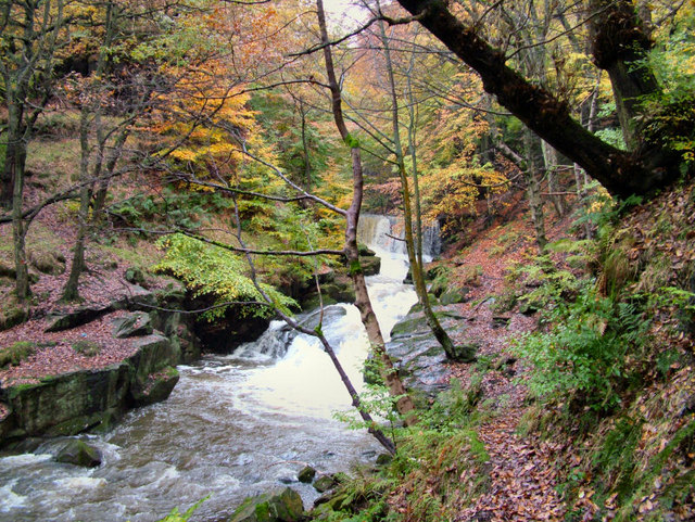Autumn down in the Dell - geograph.org.uk - 424203