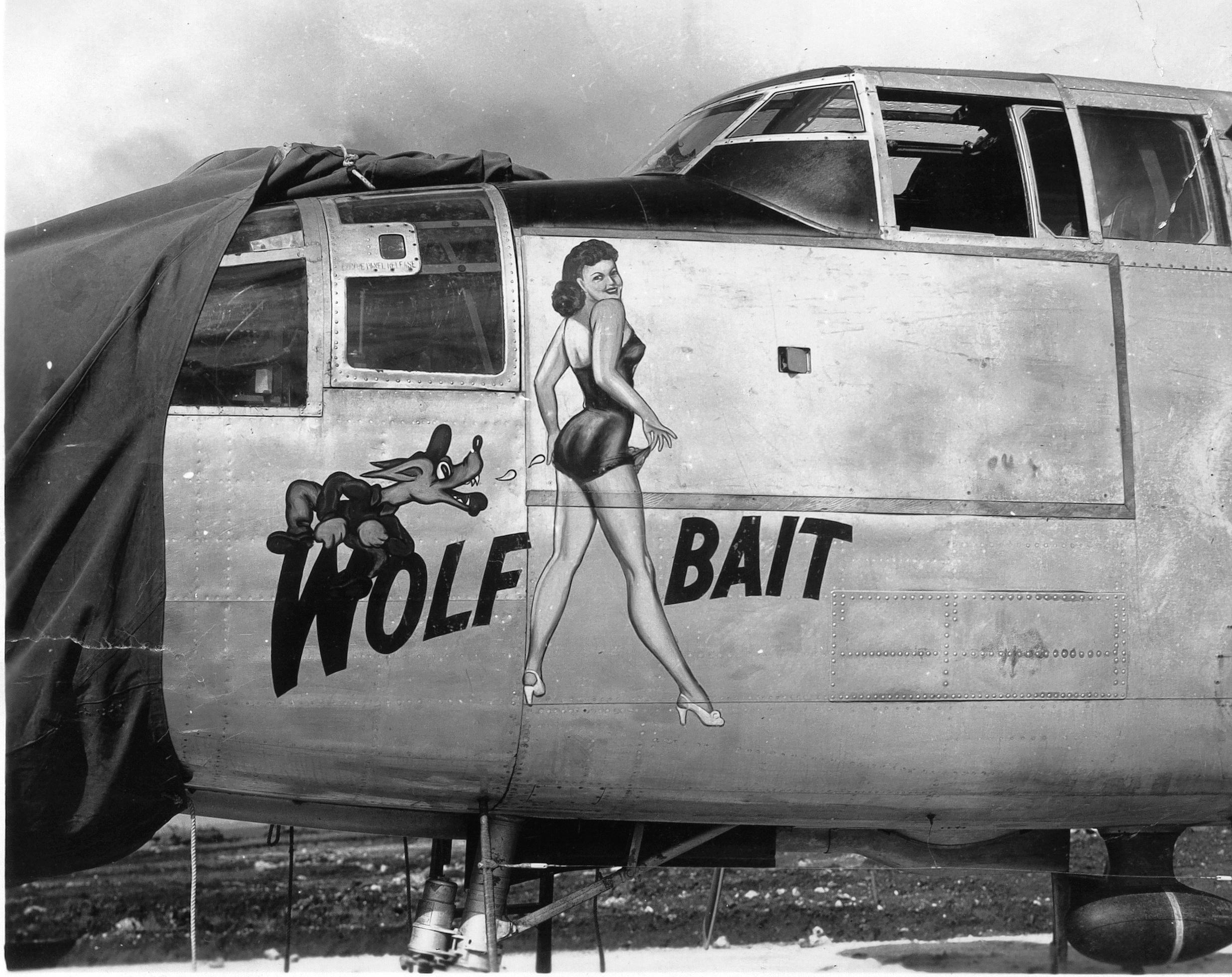 B-25_Wolf_Bait_Nose_Art.jpg