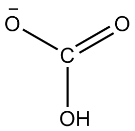 hydrogen carbonate (bicarbonate)