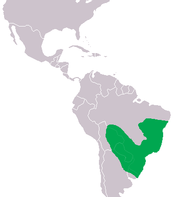 File:Caiman latirostis Distribution.png