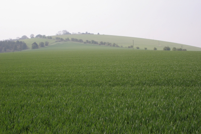 File:Chalton - geograph.org.uk - 5042.jpg