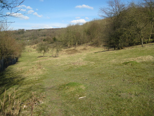 Chinnor, Oakley Hill nature reserve - geograph.org.uk - 753026