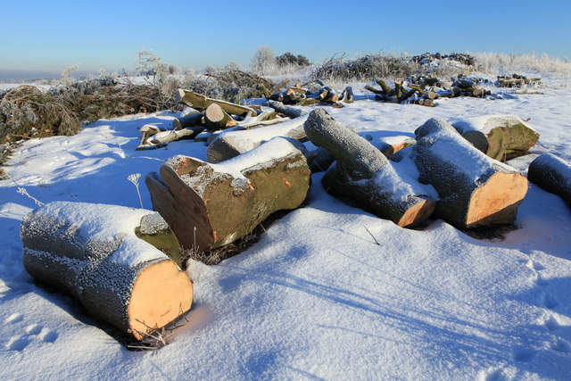 File:Clearance Work at Turnhouse Golf Course - geograph.org.uk - 1652797.jpg