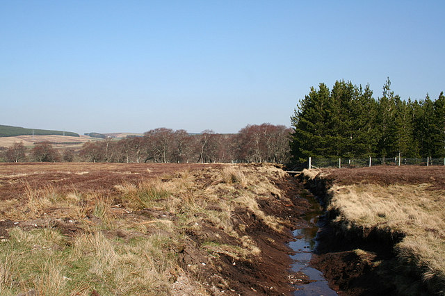 File:Ditch by the woods southwest of Lurg. - geograph.org.uk - 376715.jpg