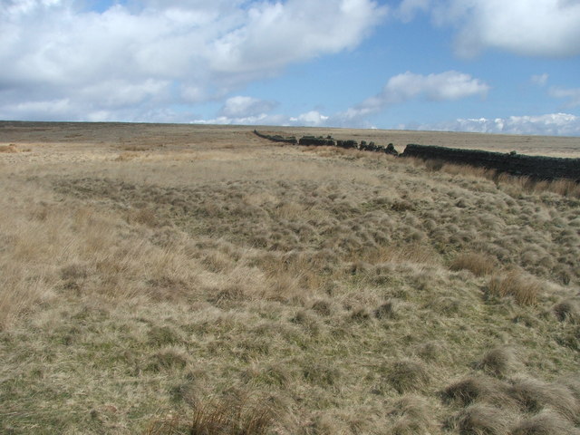 Dry stone wall on Skipton Moor. - geograph.org.uk - 152869