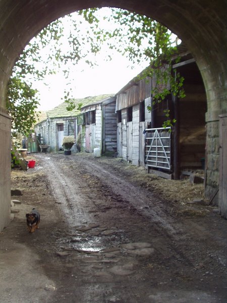 File:Farm entrance, Apperley Bridge - geograph.org.uk - 129049.jpg