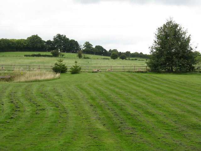 File:Fields of Pirton - geograph.org.uk - 937896.jpg