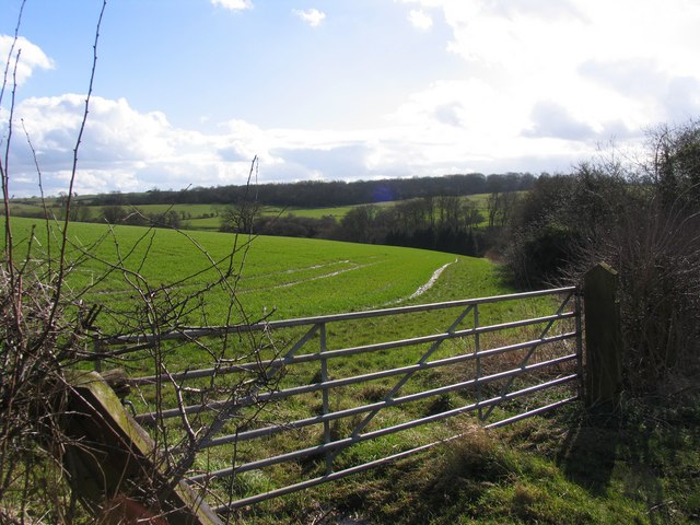 File:Fields with Launde Park Wood in the distance - geograph.org.uk - 352372.jpg