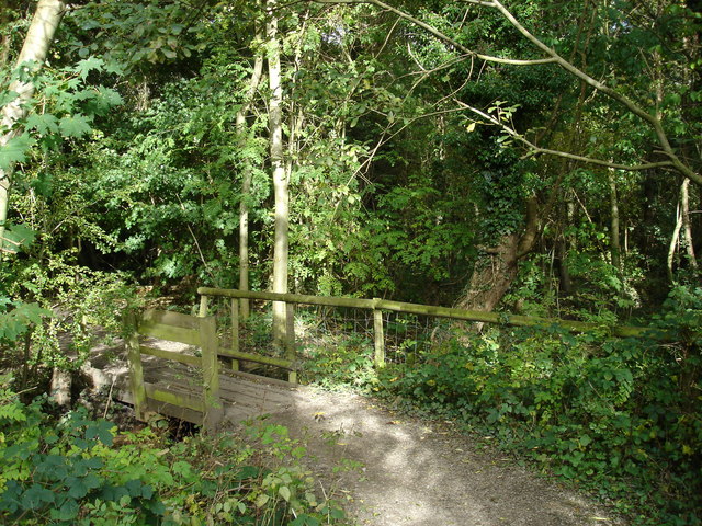 File:Footbridge, Harrison's Plantation - geograph.org.uk - 1001385.jpg