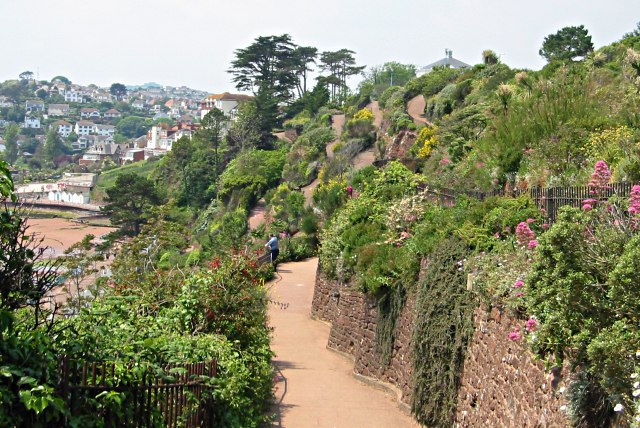 File:Goodrington Cliff Gardens - geograph.org.uk - 295010.jpg