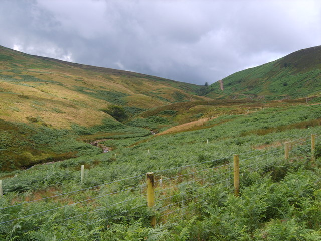 File:Hareden Brook - geograph.org.uk - 1414588.jpg