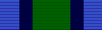 File:Hong Kong Disciplined Services Medal.png