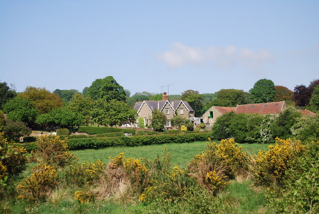 Houses in Hackness - geograph.org.uk - 1903213