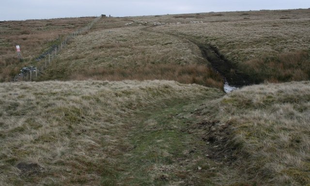 File:Kearton Rigg - geograph.org.uk - 385139.jpg